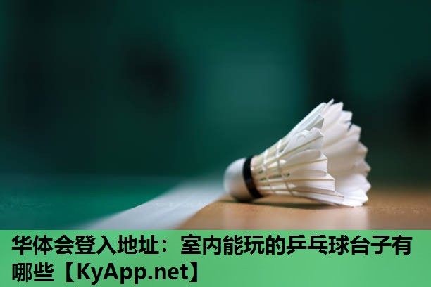 室内能玩的乒乓球台子有哪些